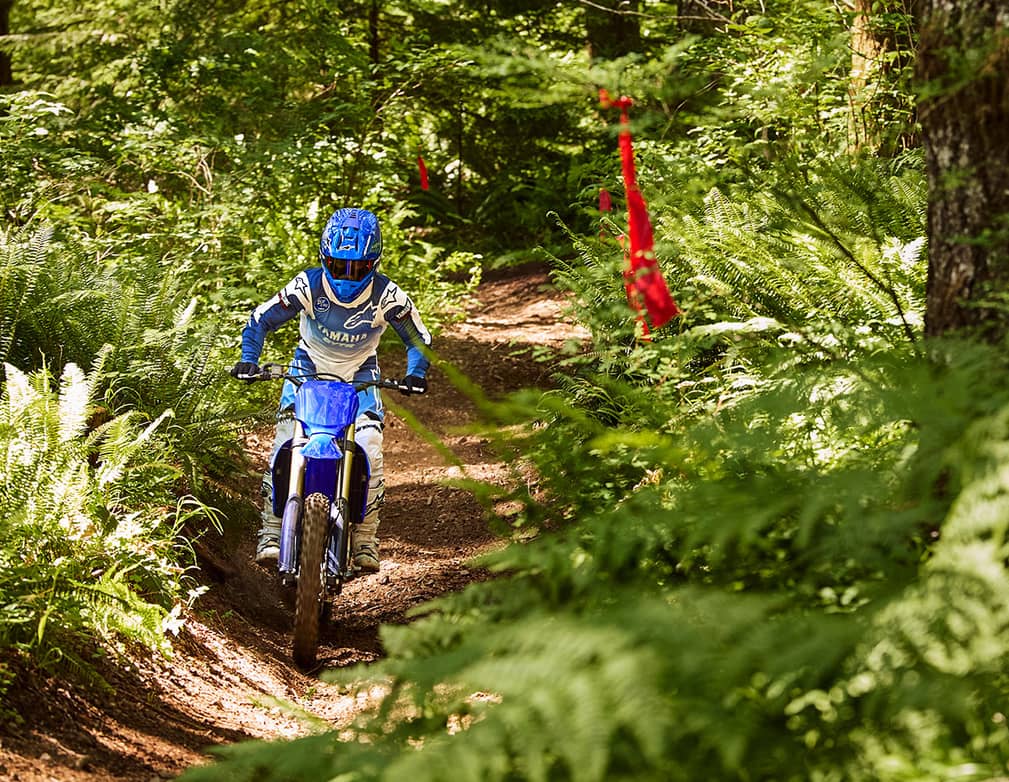 Action image of 2025 YZ250FX