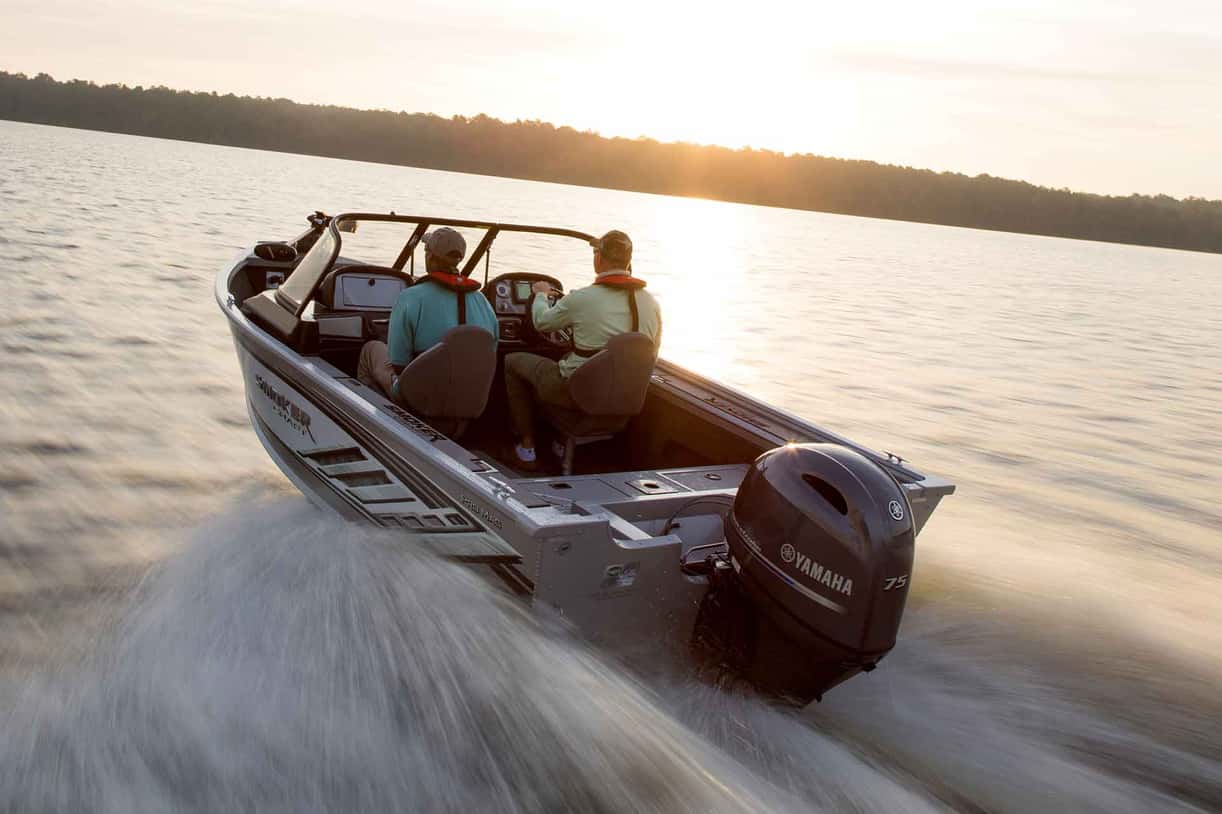 Full image of gallery image 5