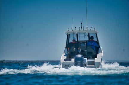 Thumbnail image of gallery image 6