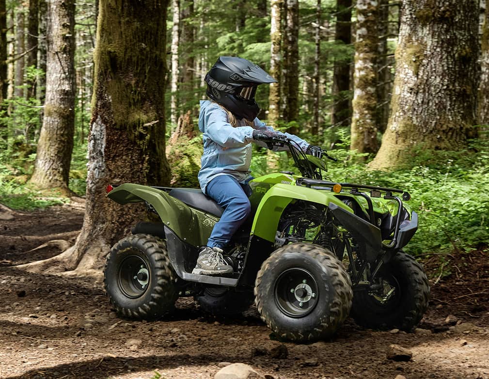 Action image of 2027 GRIZZLY 110