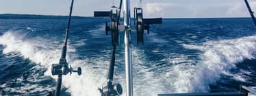 Thumbnail of the Il est temps de repartir à la pêche au saumon