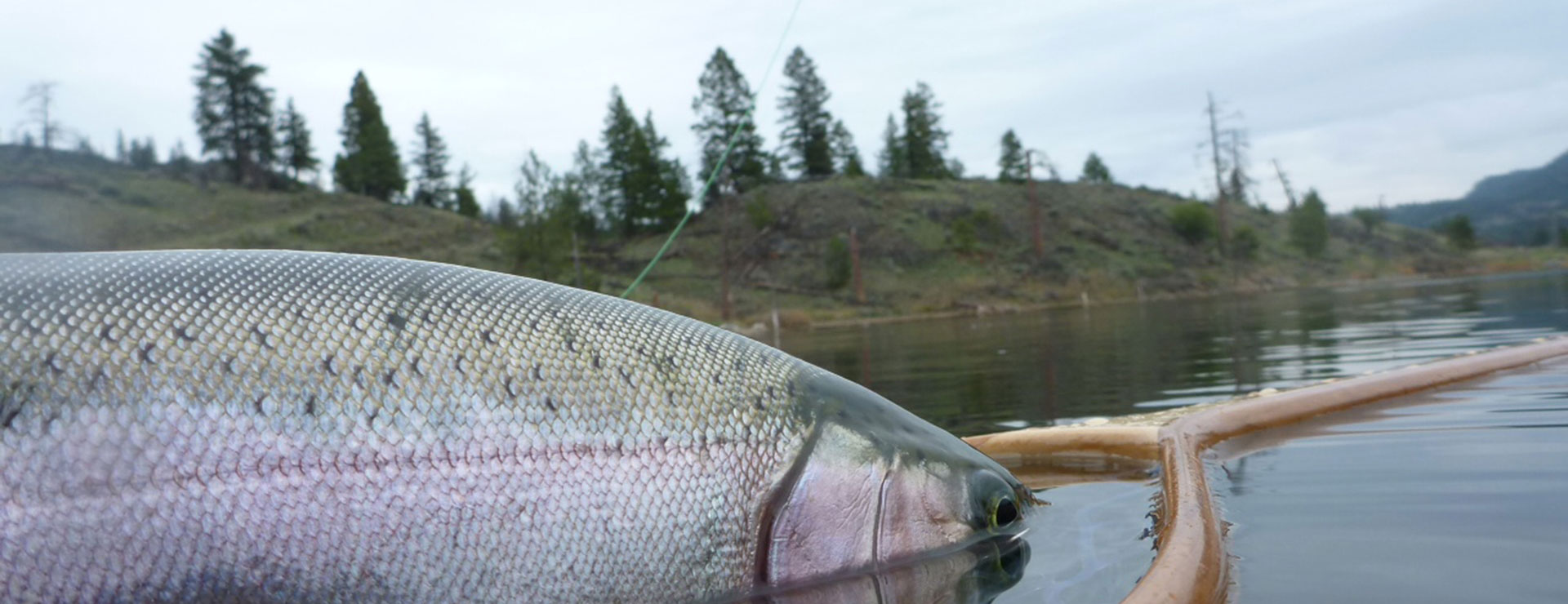 Se préparer à la saison de la pêche à la mouche en lac