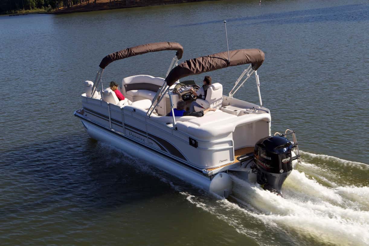 Full image of gallery image 4