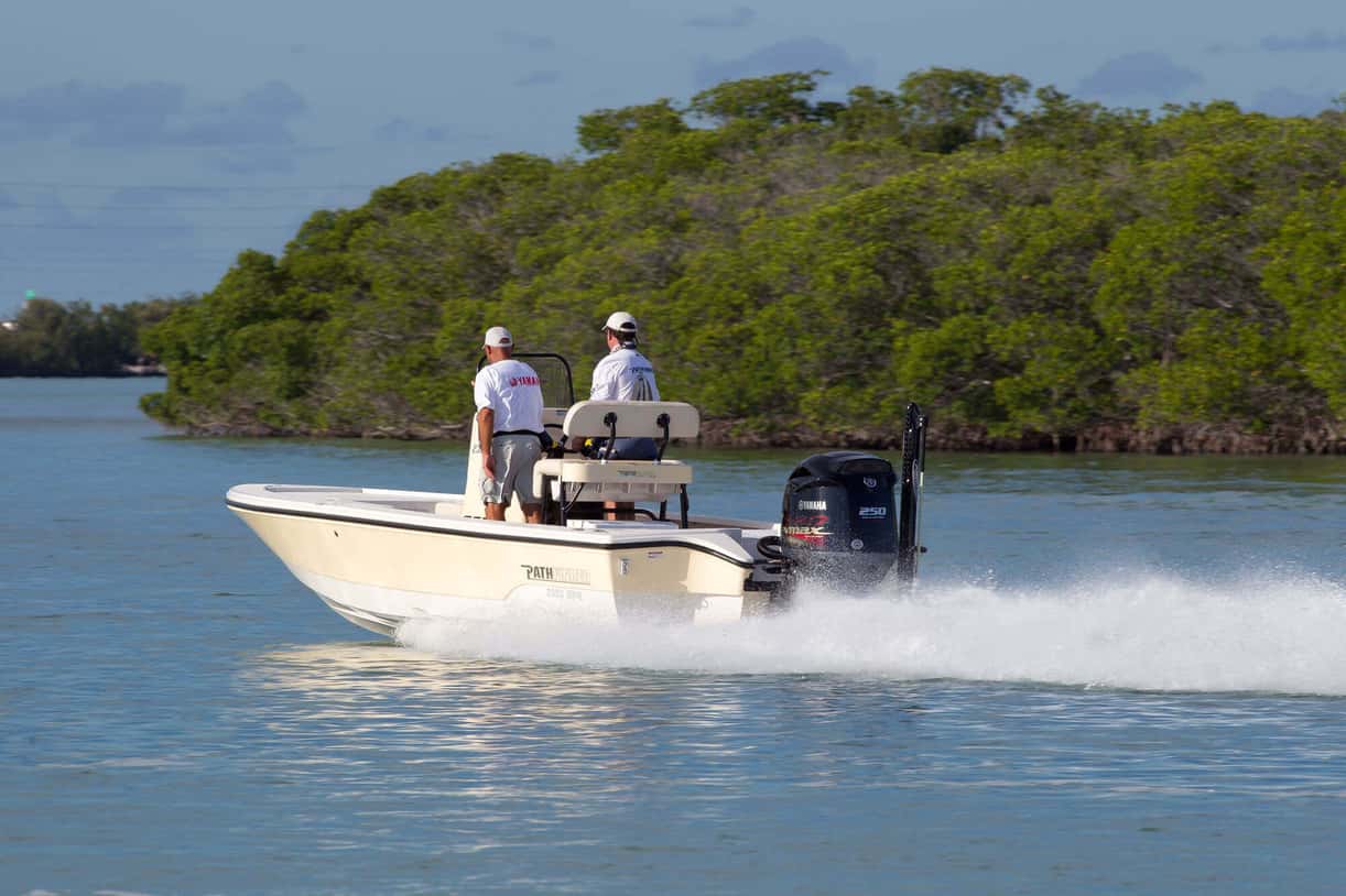 Full image of gallery image 2