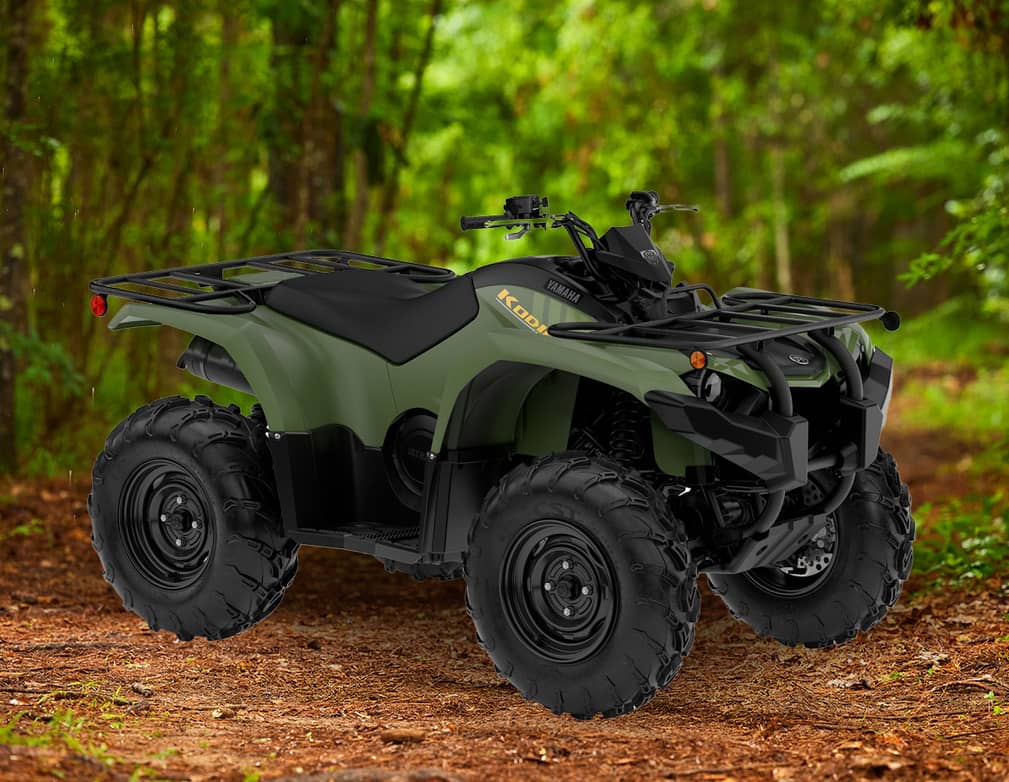 Action image of KODIAK 450 2027