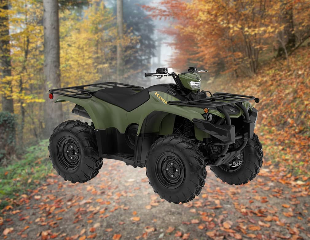 Action image of Kodiak 450 EPS 2026
