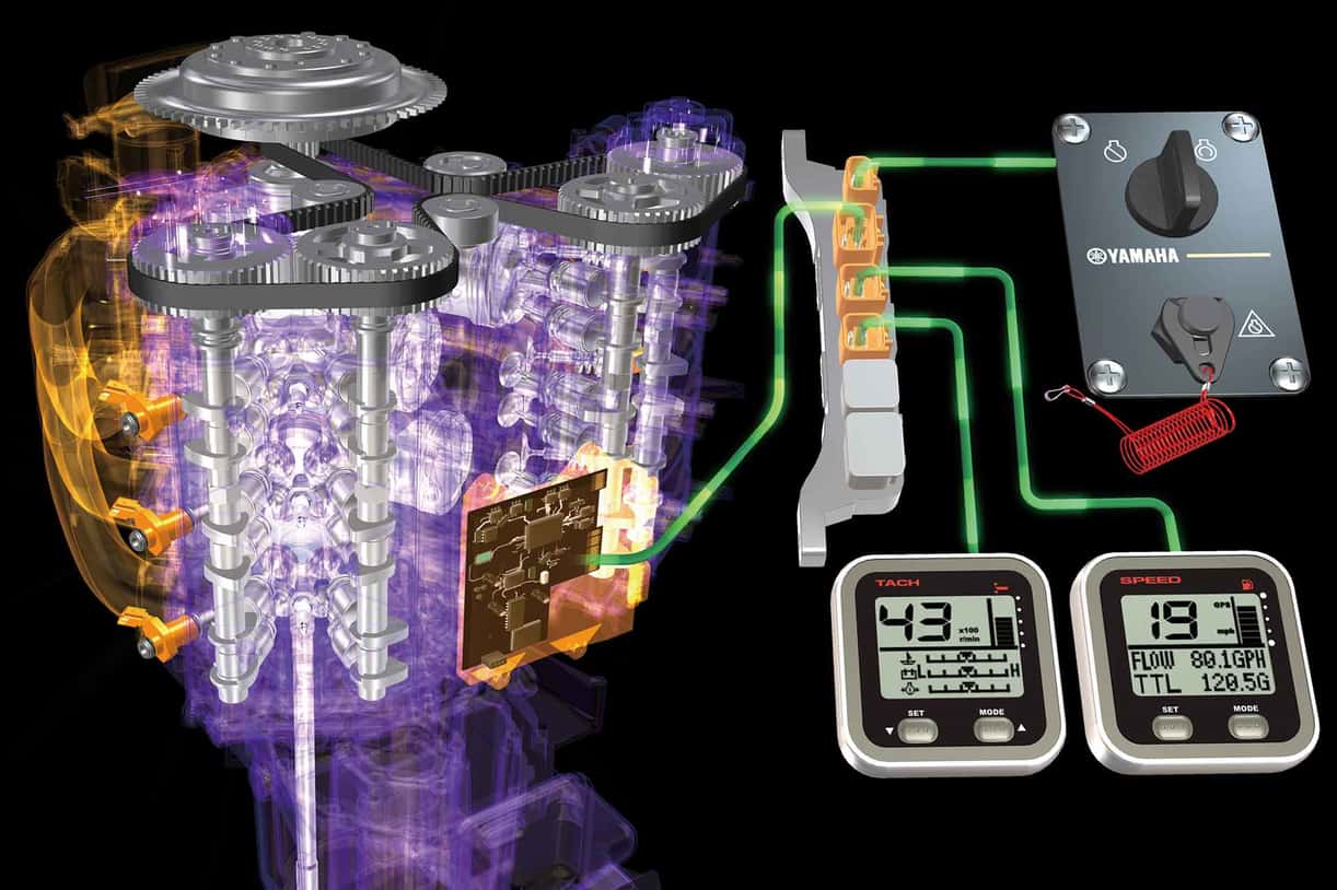 Full image of gallery image 5