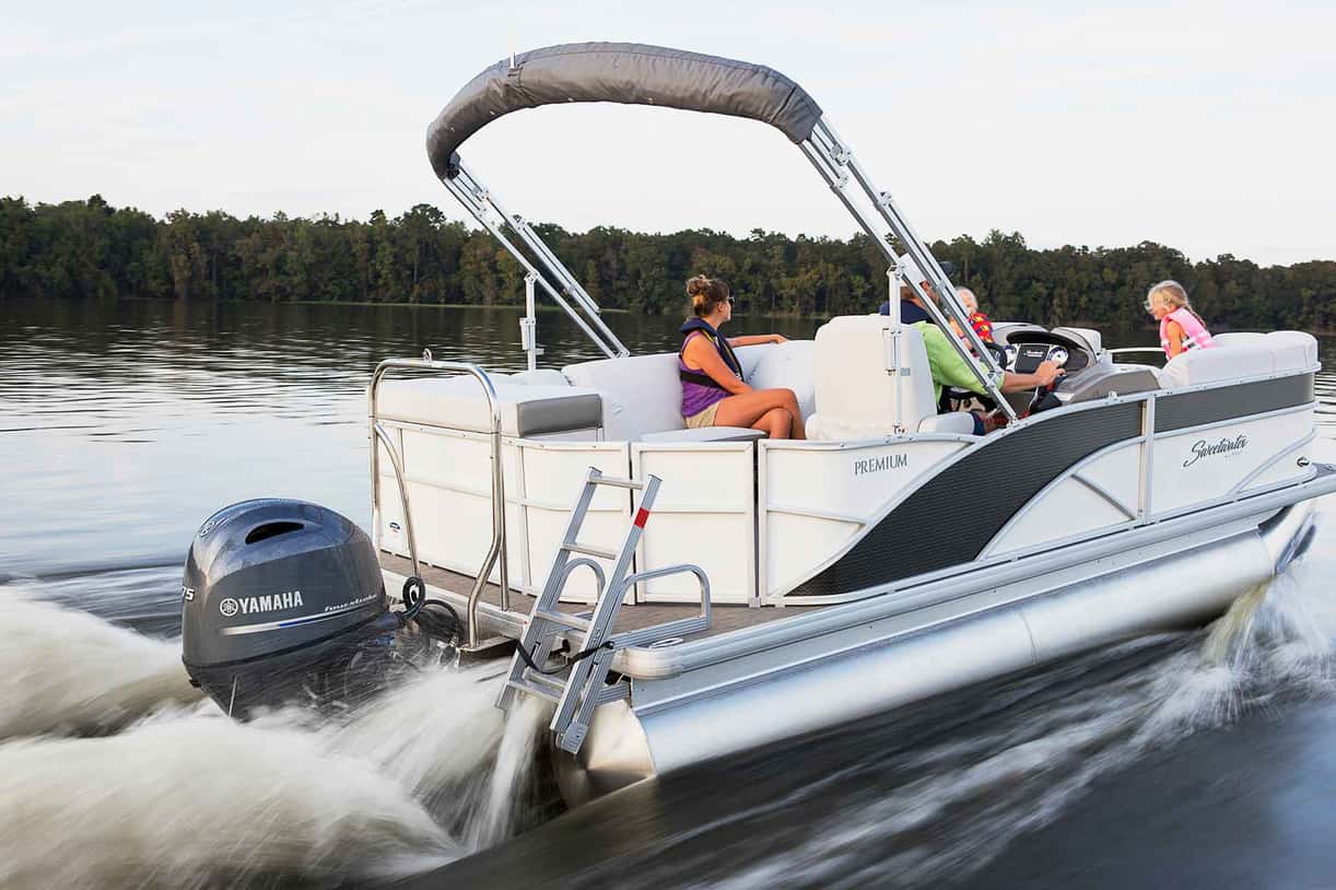 Full image of gallery image 1