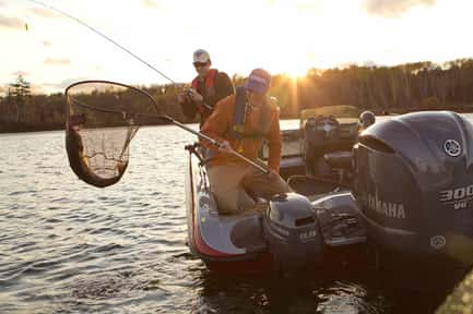 Thumbnail image of gallery image 2