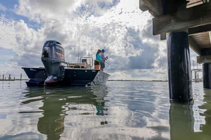 Thumbnail image of gallery image 3