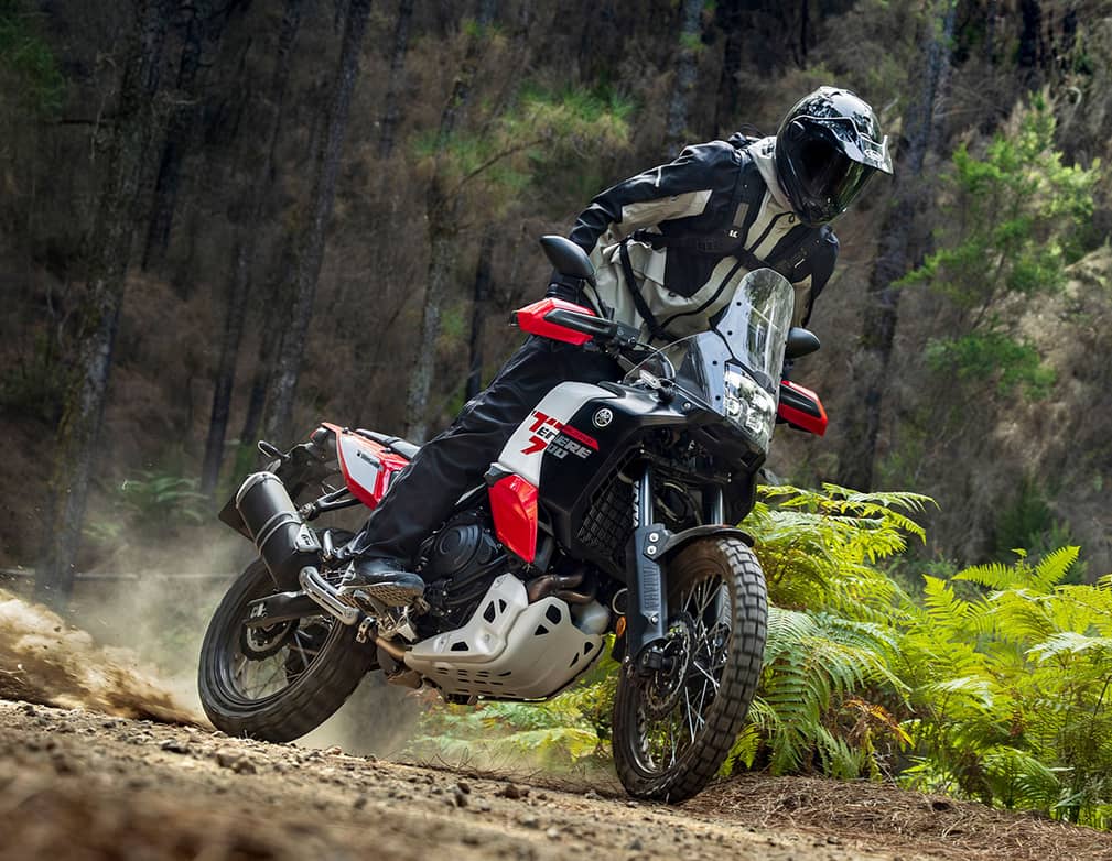 Action image of Ténéré 700 World Raid 2026