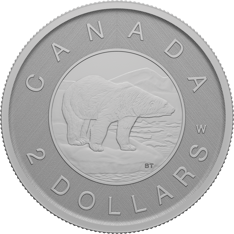 Pure silver coin with the text &quot;Canada&quot; and &quot;2 dollars&quot; around a lone polar bear on an ice floe in front of a mountain range.