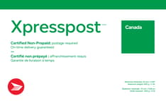 Xpresspost white and green Canada Post envelope with “Canada” and “Non-Certified Prepaid” text. Dimensions allowance at the bottom.