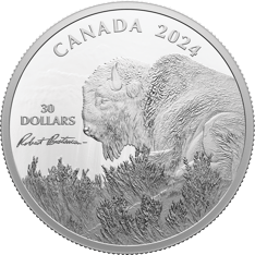 Shown in side-profile, a bison remains alert while calmly resting on a sandy bank in the open grasslands. Text CANADA 2024 and 30 DOLLARS