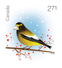&quot;Holiday Birds&quot; stamp. An illustrated yellow, black, and white grosbeak, facing left, standing on a twig with red berries.