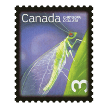  CPP101410  From Far and Wide 2020: Coil of 100 Permanent  Domestic Rate Stamps