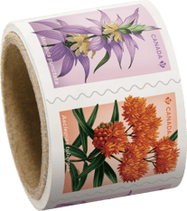 Coil includes Wildflower stamps depicting spotted beebalm and butterfly milkweed.
