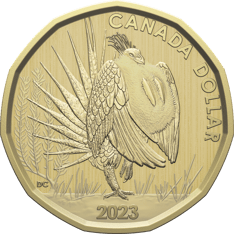 Gold-coloured coin with &quot;Canada dollar&quot; and &quot;2023&quot; text, and a sage-grouse in it&#39;s courtship pose, among a grassy area.