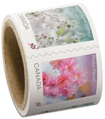 Coil includes Cherry Blossom stamps depicting Prunus 'Somei-yoshino' and Prunus 'Kanzan'.