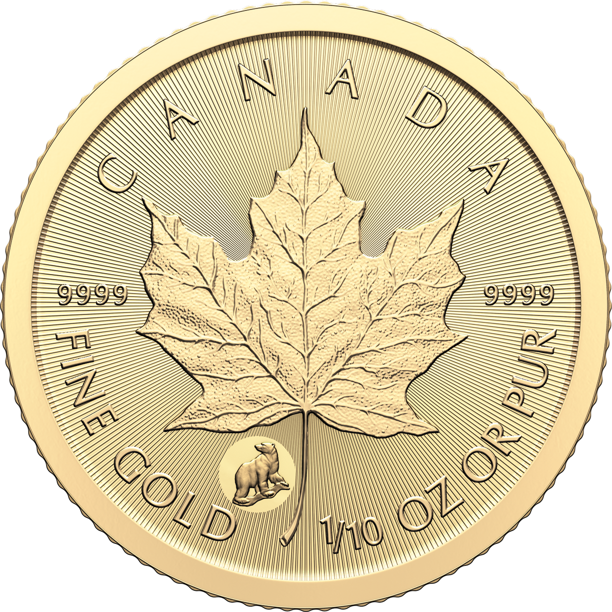 $5 1/10-oz. 99.99% Pure Gold Coin - Treasured Gold Maple Leaf