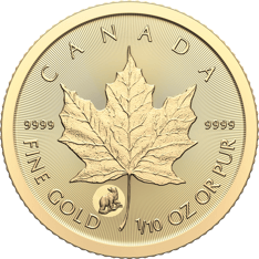 Gold coin with a maple leaf and a polar bear privy mark. Text: &quot;Canada&quot;, &quot;9999&quot;, &quot;1/10oz Fine Gold&quot;.