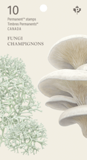 Booklet cover depicts oyster mushroom and star-tipped reindeer lichen against a cream background. Features “10 Permanent™ stamps” and “Fungi” text.