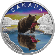 Reverse of 2024 $20 Pure Silver Coin - Wildlife Reflections: Grizzly Bear