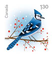&quot;Holiday Birds&quot; stamp. An illustrated blue jay facing right, standing on a twig with red berries.