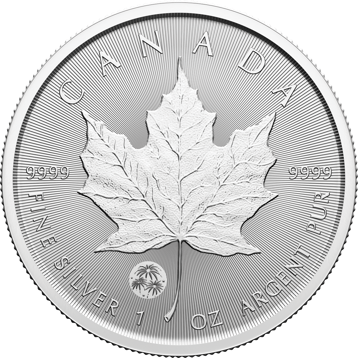 $5 1-oz. 99.99% Pure Silver Coin - Treasured Silver Maple Leaf