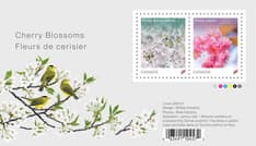 Sheet shows photo of the Prunus 'Somei-yoshino' blossom, Wilson’s warbler birds. Includes two stamps, “Cherry Blossoms” text and credits.