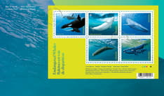 Cover, with &quot;Endangered Whales&quot; text and a pane of 5 collection stamps in a green square, over a watery blue background. 