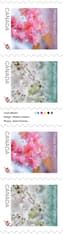 Strip includes cherry blossom stamps depicting Prunus 'Somei-yoshino'and Prunus 'Kanzan'’ and credits.