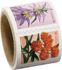 Rouleau composé de timbres Fleurs sauvages illustrant la monarde ponctuée et l’asclépiade tubéreuse.