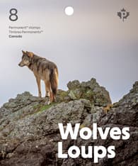 Un loup gris côtier sur des rochers avec le texte « Loups », « Canada » et « Timbres permanents ».