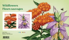 Bloc-feuillet : deux fleurs sauvages, un bourdon, les timbres Fleurs sauvages, le texte « Wildflowers Fleurs sauvages » et précisions sur l’émission. 