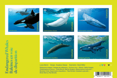 Bloc-feuillet portant le texte « Baleines en voie de disparition » et un feuillet des 5 timbres de la collection sur un arrière-plan vert.