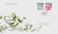 La couverture comprend des parulines à calotte noire dans un Prunus 'Somei-yoshino', deux timbres et « Fleurs de cerisier/Jour d’émission ».