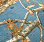 Thumbnail Image for 9975882-7