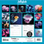 Thumbnail Image for 973968-4