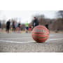 Thumbnail Image for 725934-3
