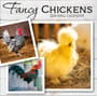 Thumbnail Image for 973977-1