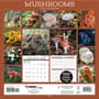 Thumbnail Image for 973957-4