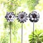 Thumbnail Image for 906823-2