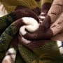 Thumbnail Image for 975917-4