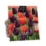 Thumbnail Image for 972873-1