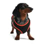 Thumbnail Image for 9969915-4
