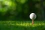 Thumbnail Image for 974833-4