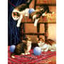 Thumbnail Image for 854159-2