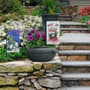 Thumbnail Image for 992251-2