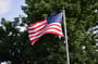 Thumbnail Image for 453629-2
